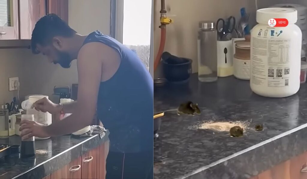 rat 1